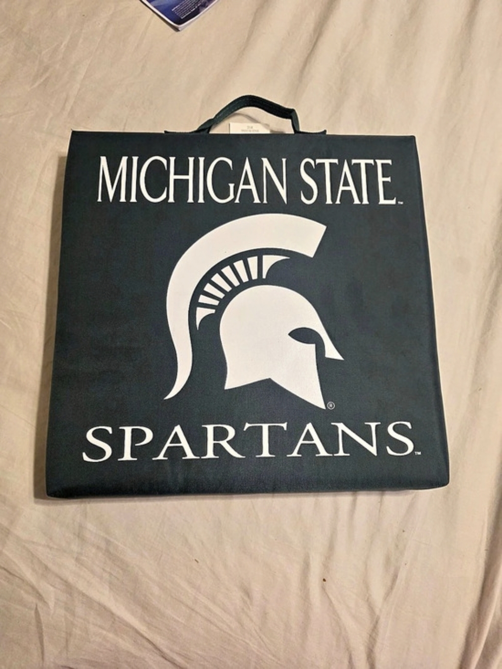 Logo Brands Michigan State Spartans Bleacher Cushion Green